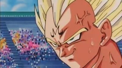 -E229- Vegeta's Pride
