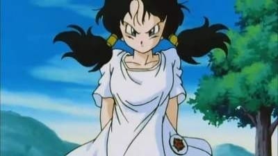 -E207- Take Flight, Videl