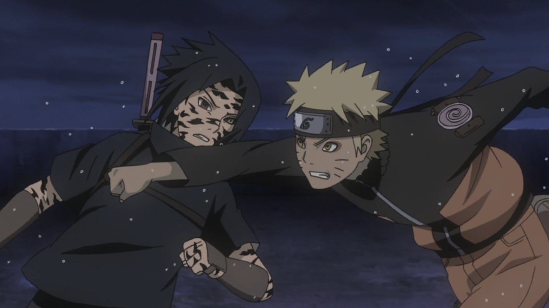 -E446- The Collision