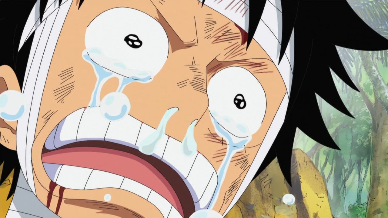 -E505- I Want to See Them! Luffy's Mournful Cry!