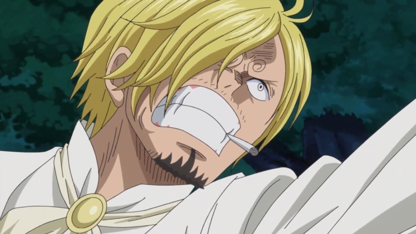 -E848- Save the Sunny! Fighting Bravely! Chopper and Brook!