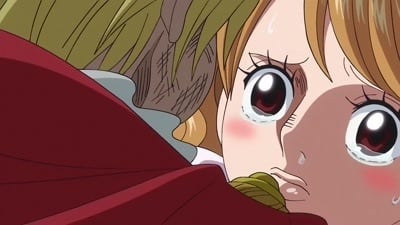 -E810- The End of the Adventure - Sanji's Resolute Proposal