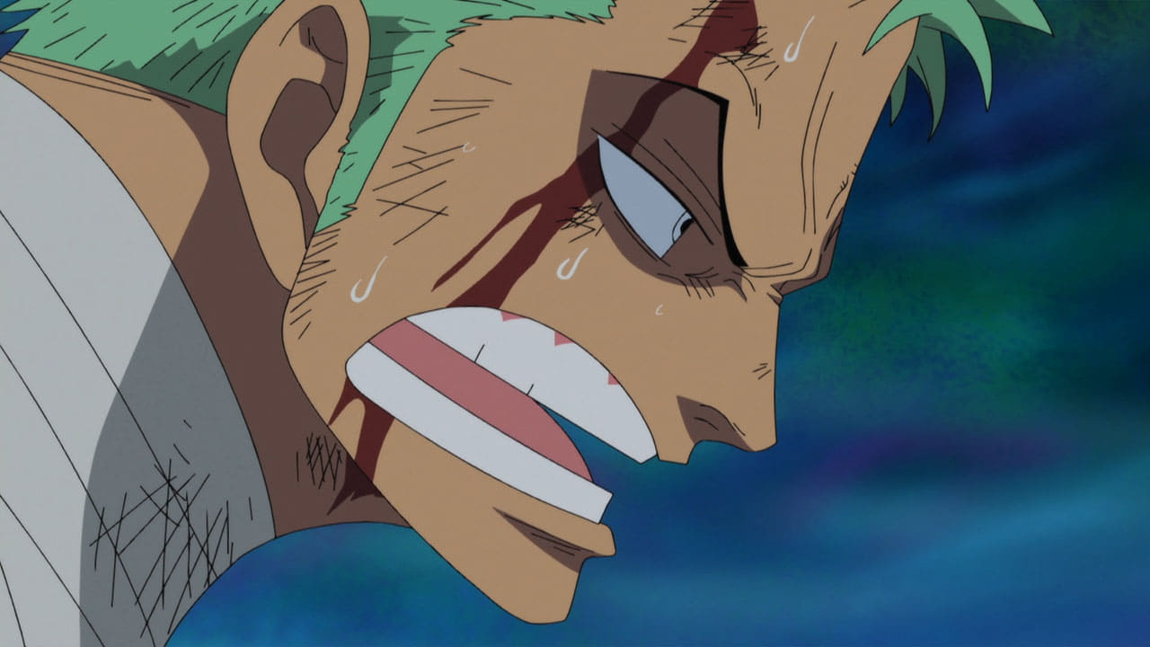 -E509- Encounter! The Great Swordsman Mihawk! Zoro's Self-Willed Deadly Struggle!