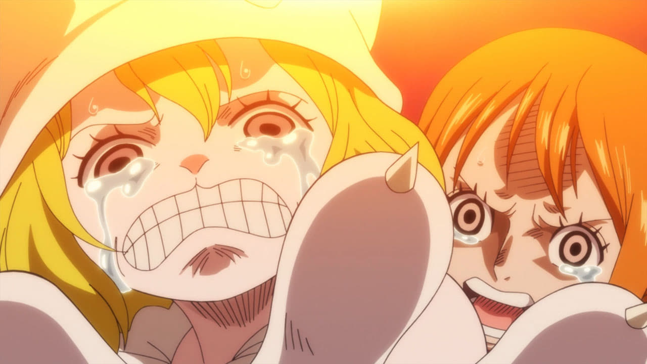-E850- I'll Be Back! Luffy, Deadly Departure