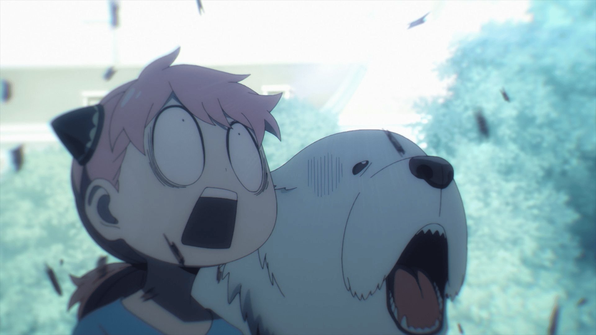 -E23- Rruga e palëkundur