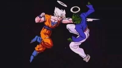 -E199- Goku vs. Pikkon